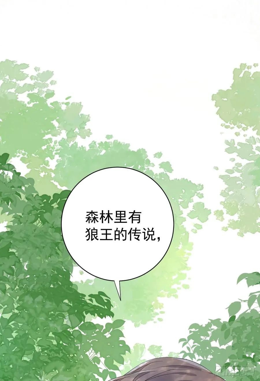 夜暮森林再重逢7