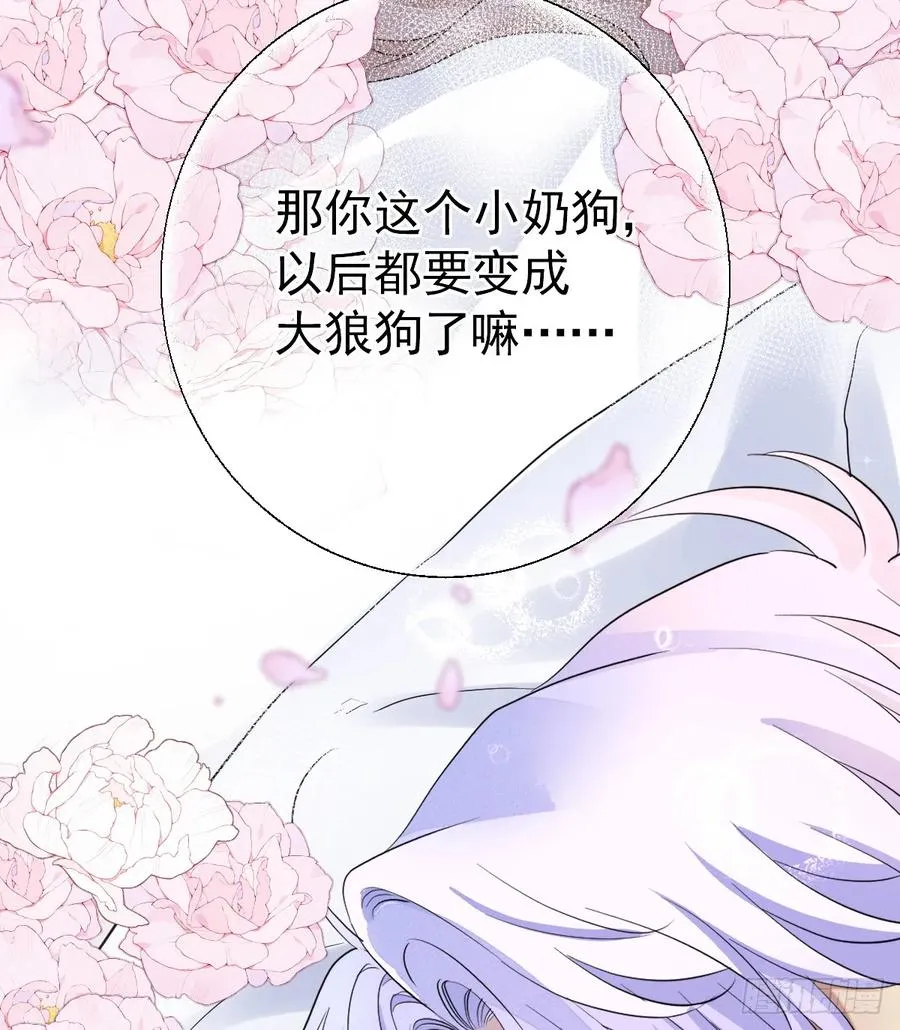 你会变成大狼狗吗？49