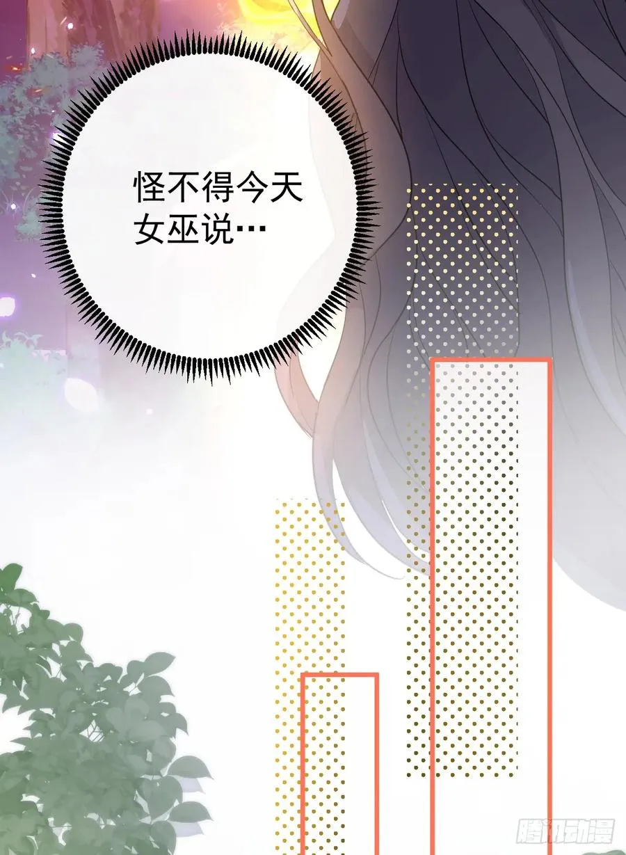 双耳狼王7
