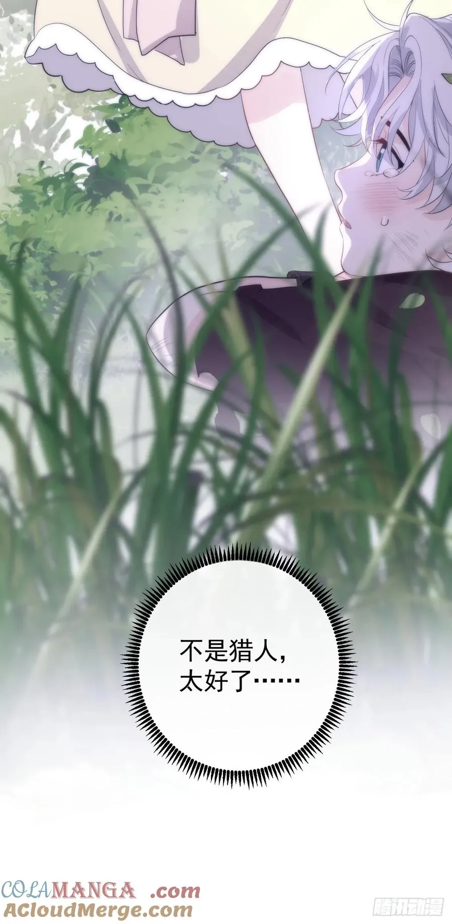 与狼共舞30