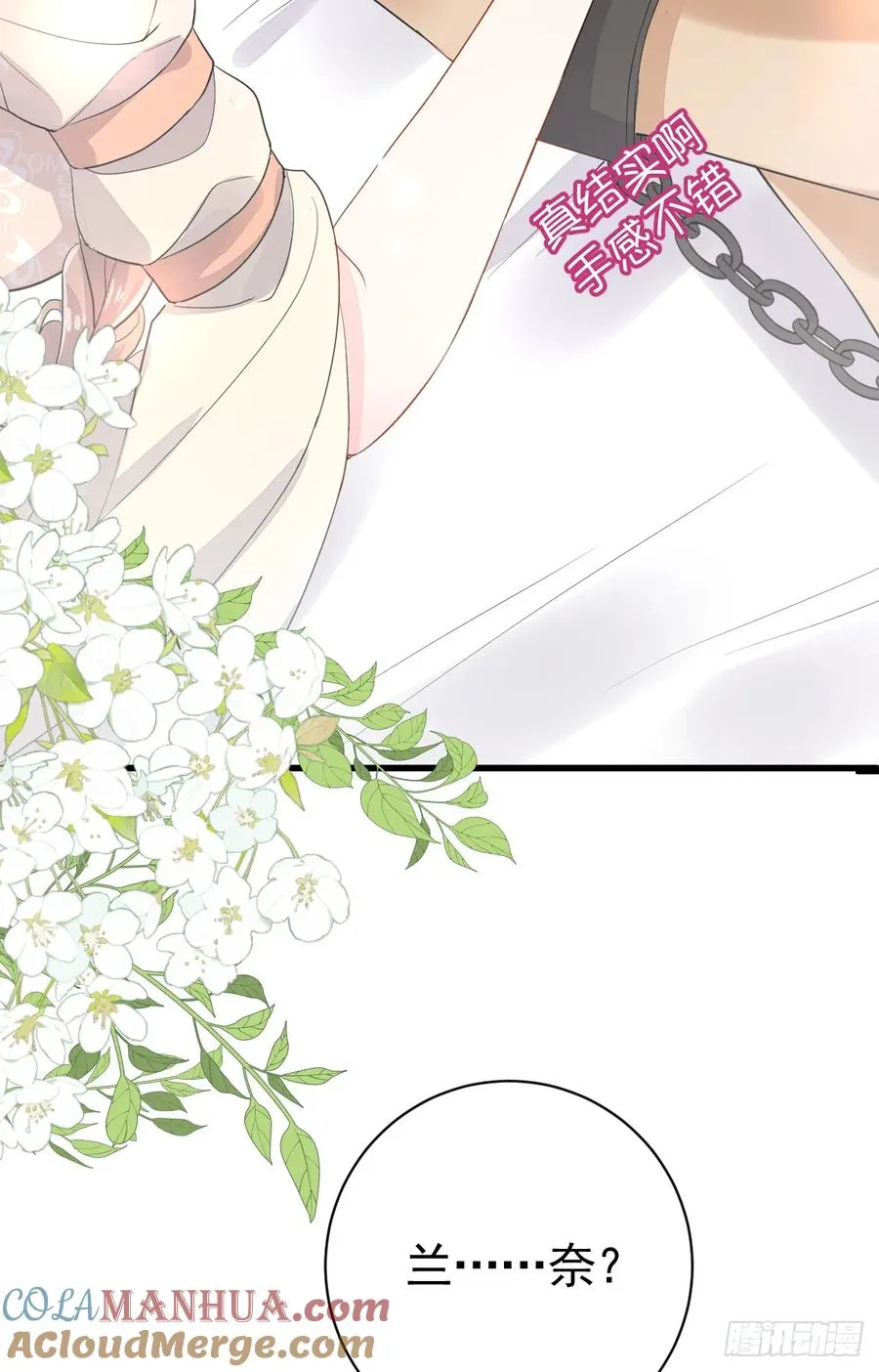 分明是只小奶狗15