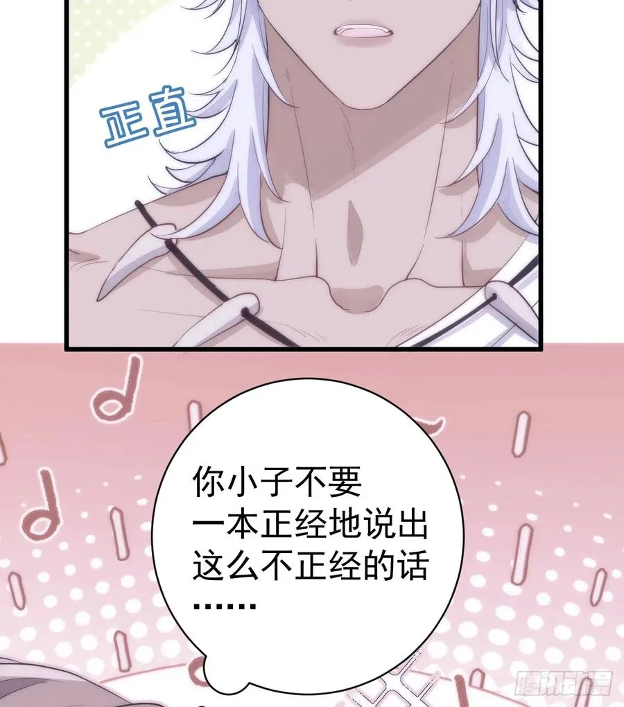 双耳狼王13