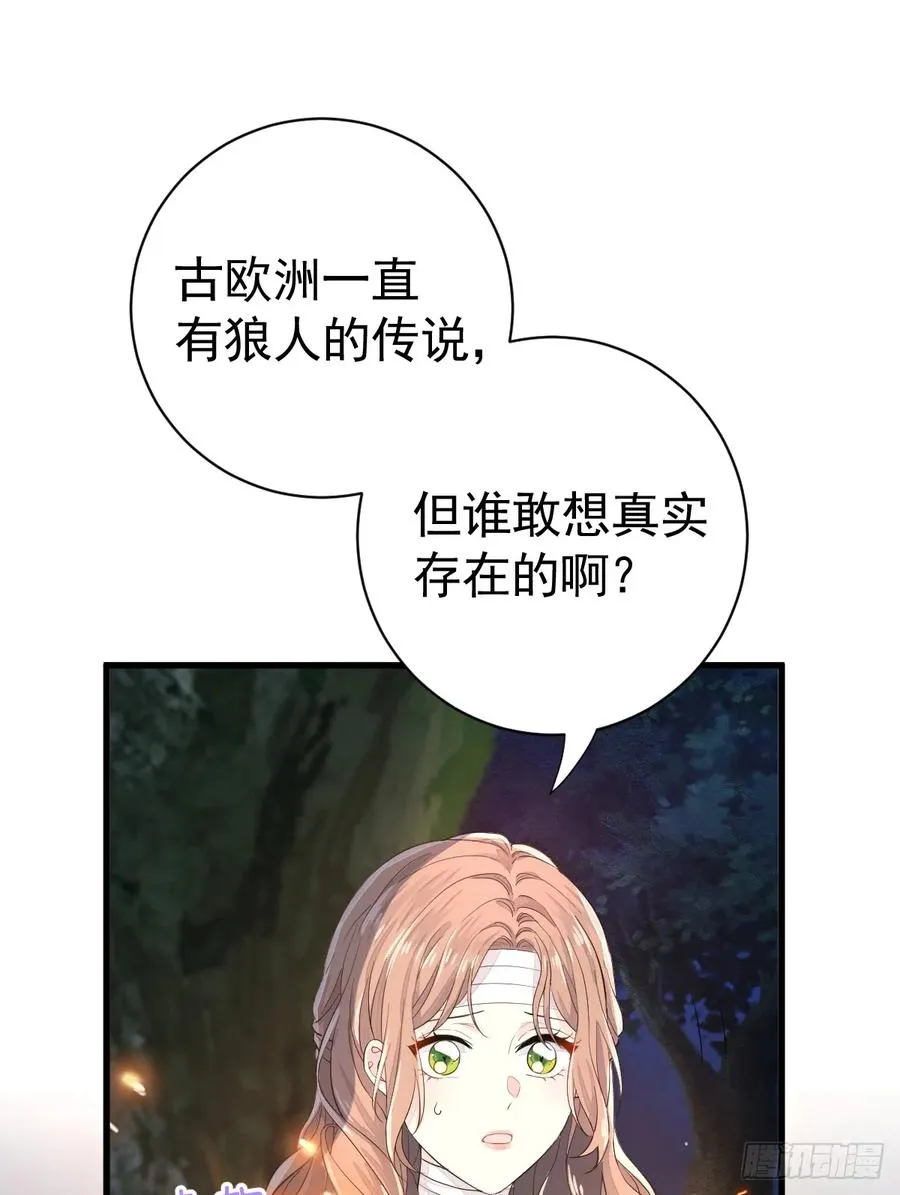 双耳狼王4