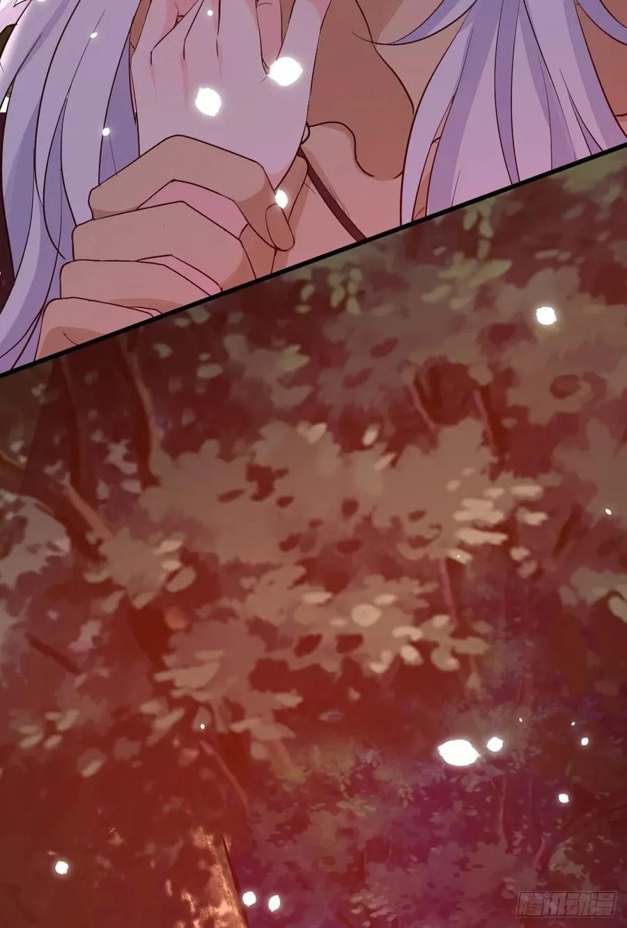 双耳狼王41