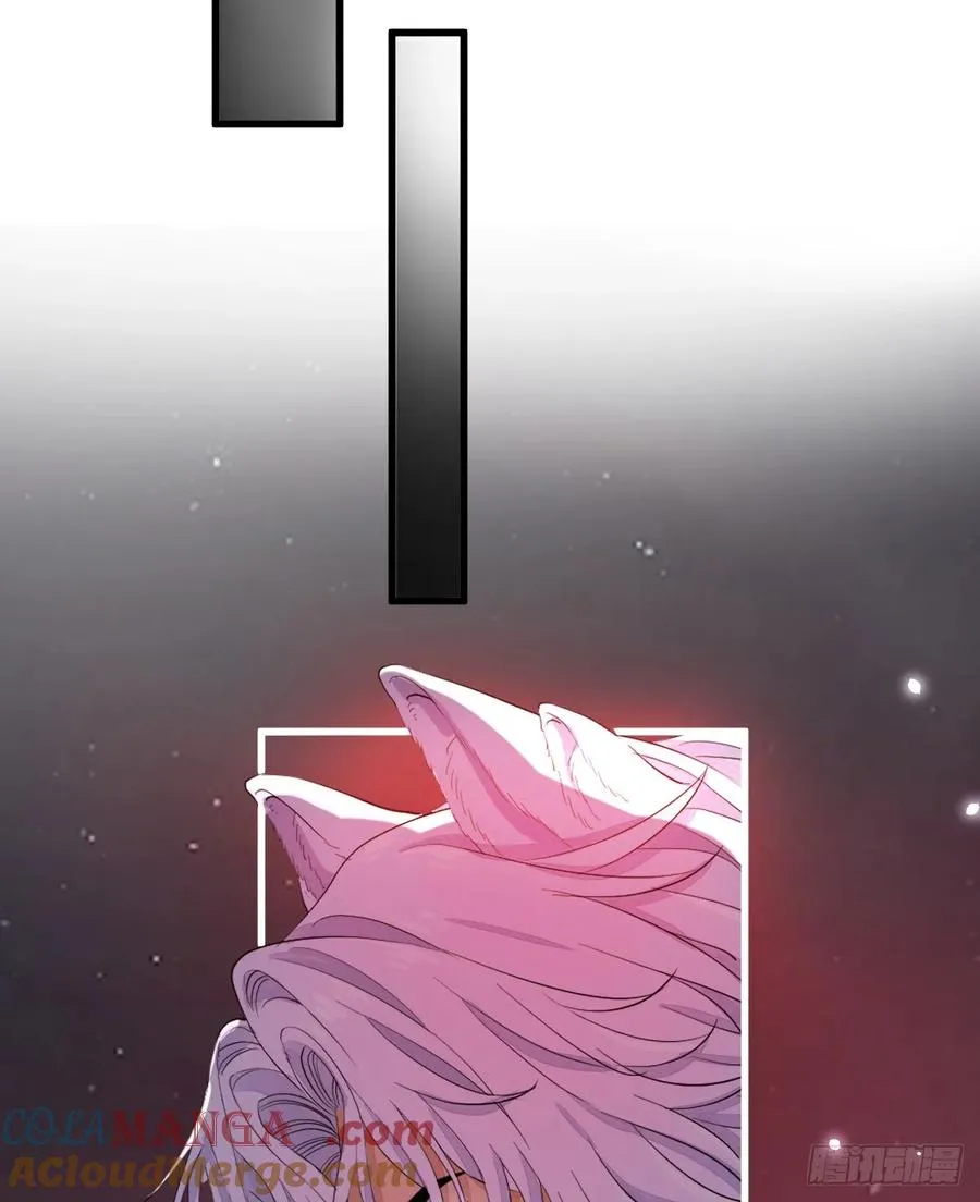 双耳狼王15