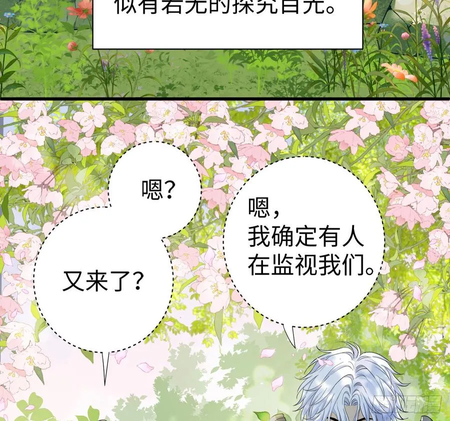 心动11