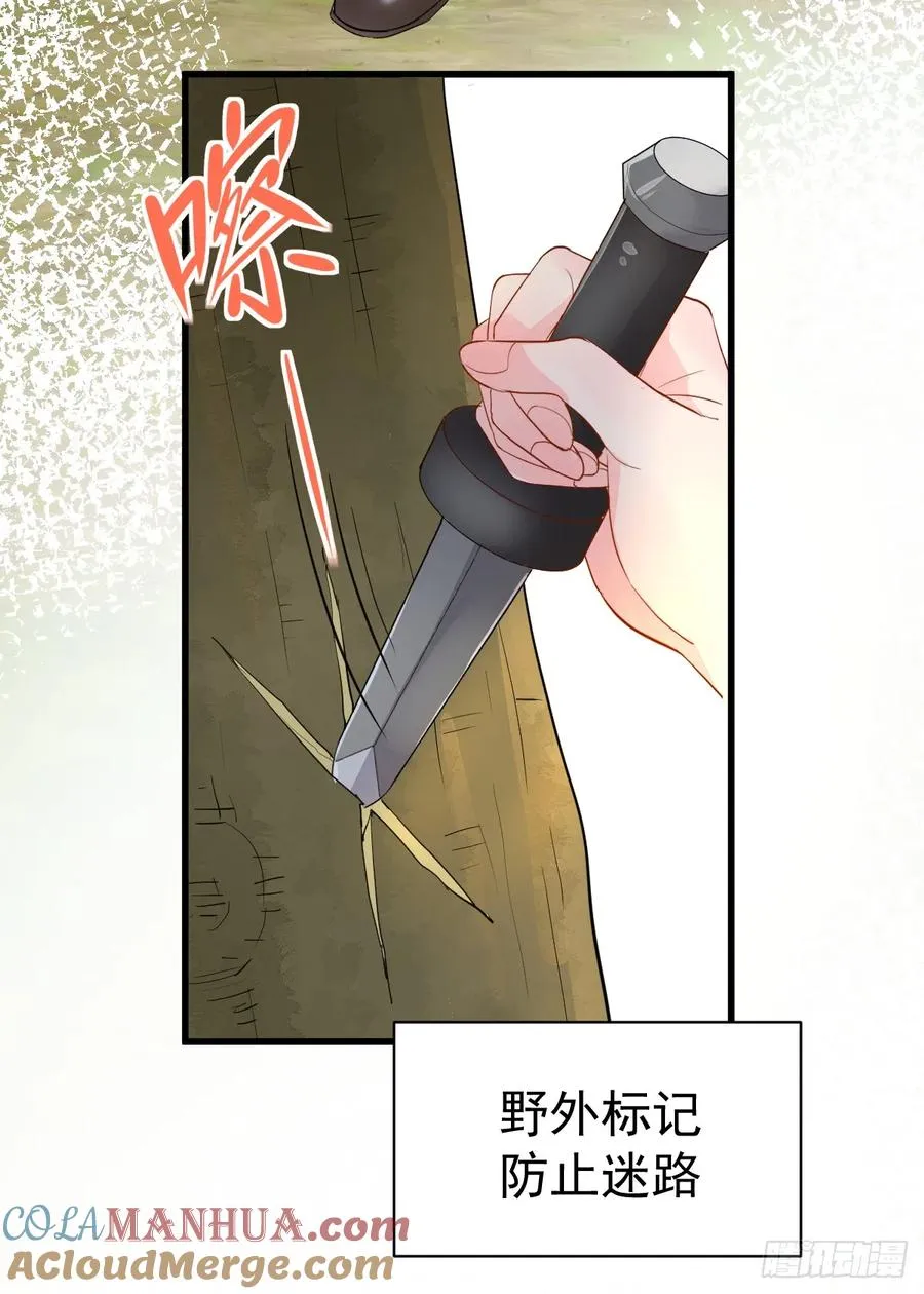 夜暮森林再重逢6