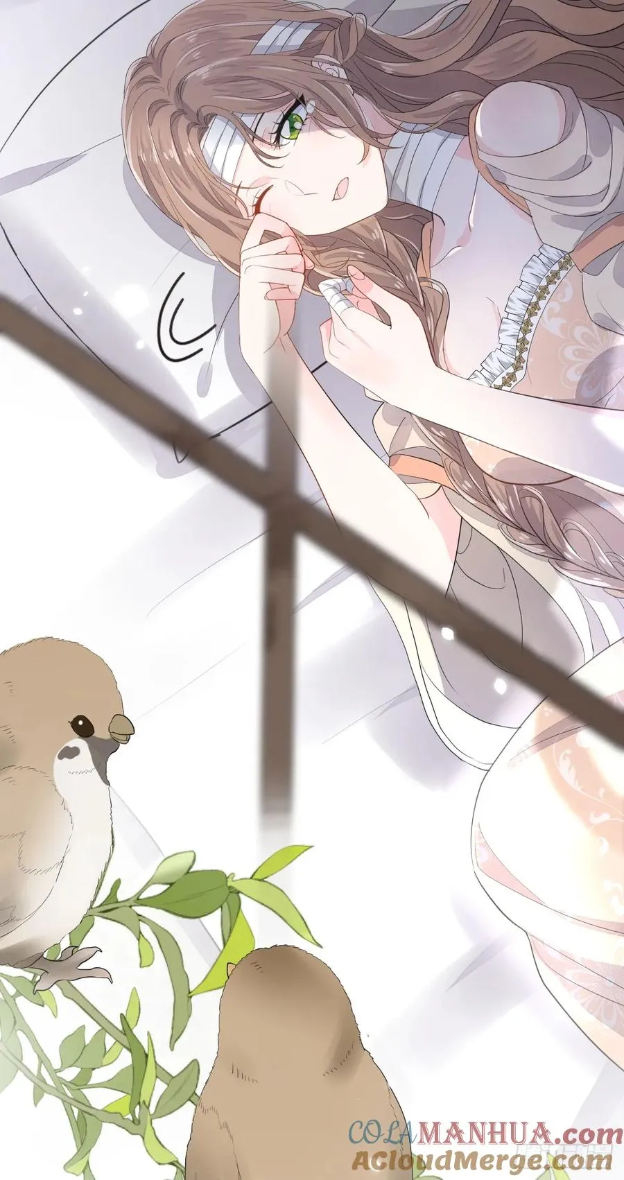 分明是只小奶狗6