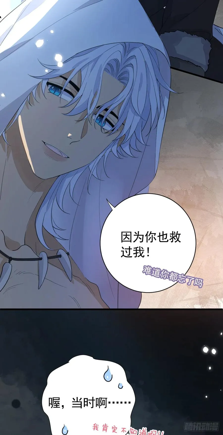 与狼共舞17