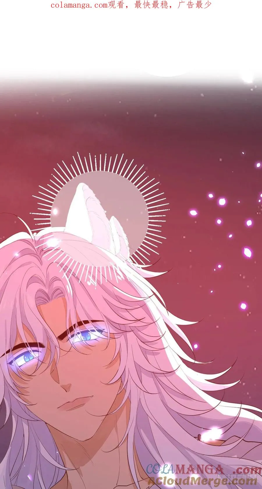 双耳狼王0