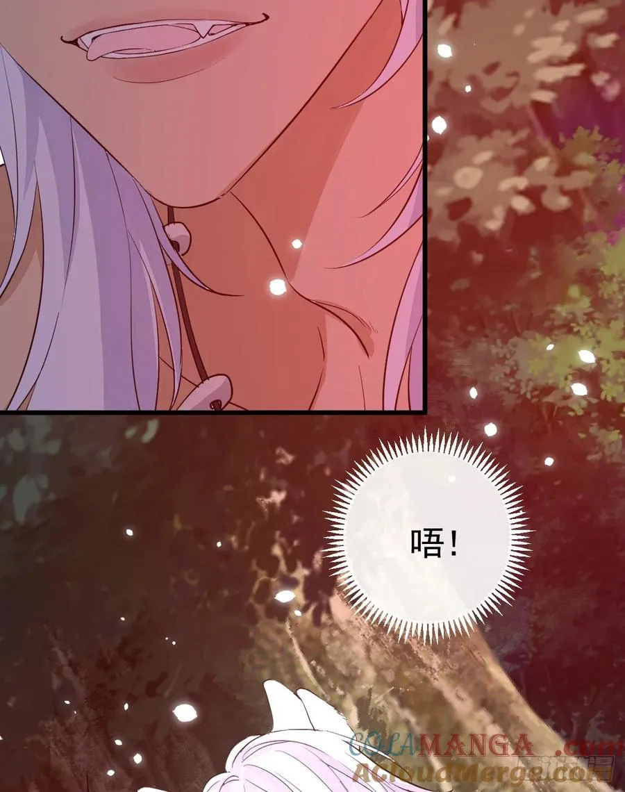 双耳狼王30