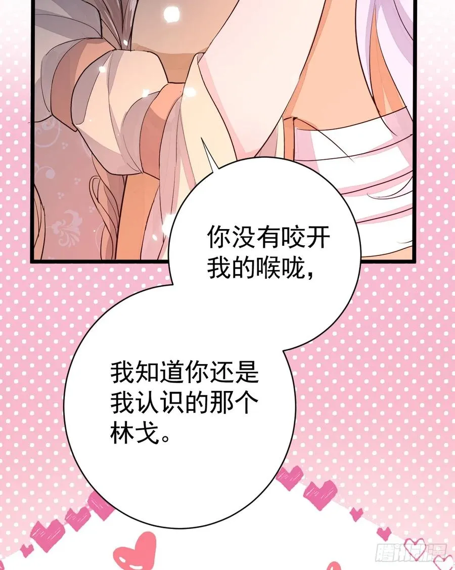 双耳狼王47
