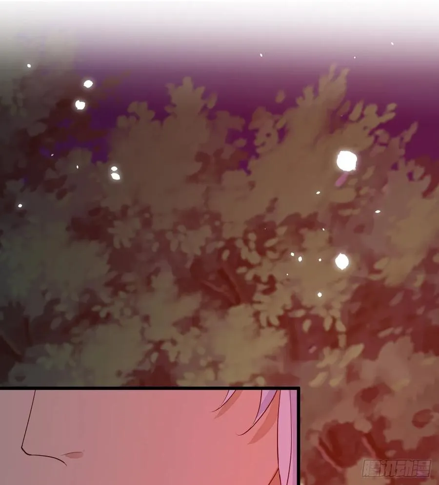 双耳狼王29