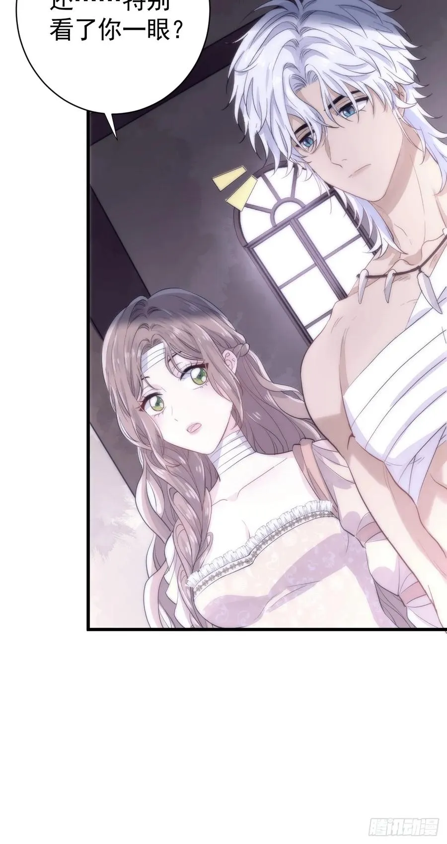 双耳狼王11