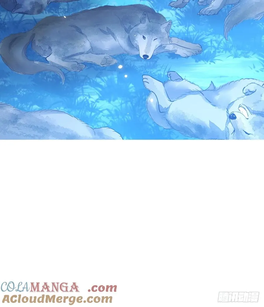 双耳狼王57