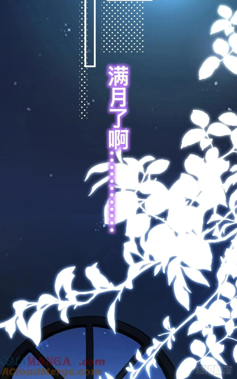 林戈，你想赏月吗？51