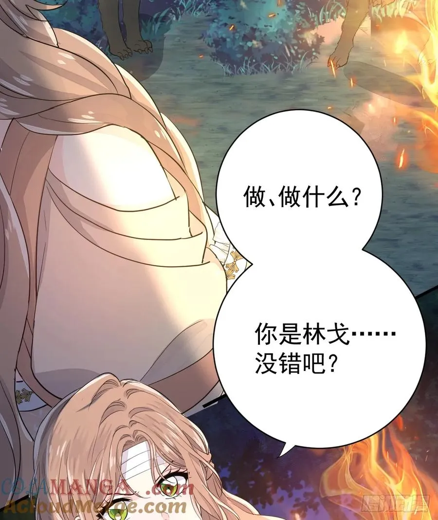 双耳狼王18