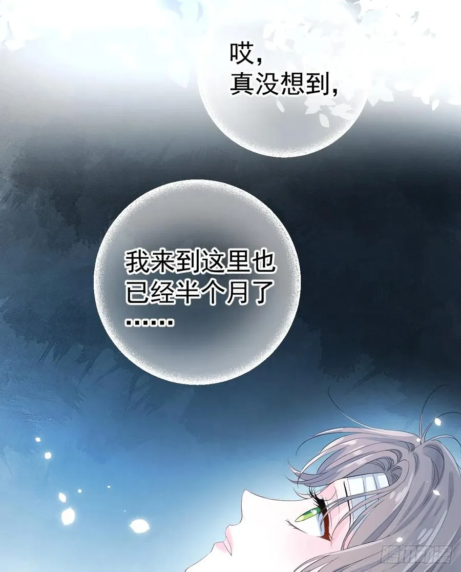 与狼共舞10