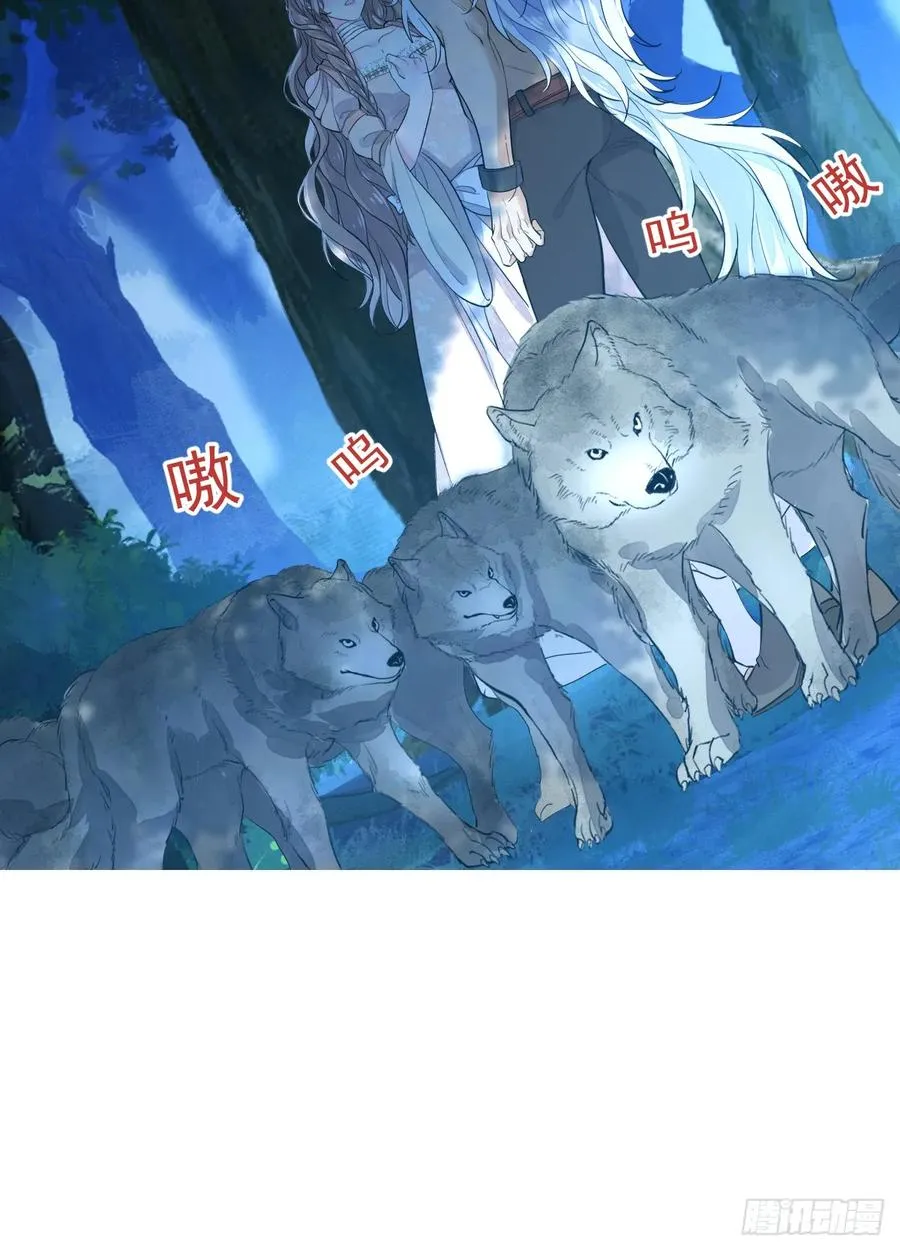 挑衅11