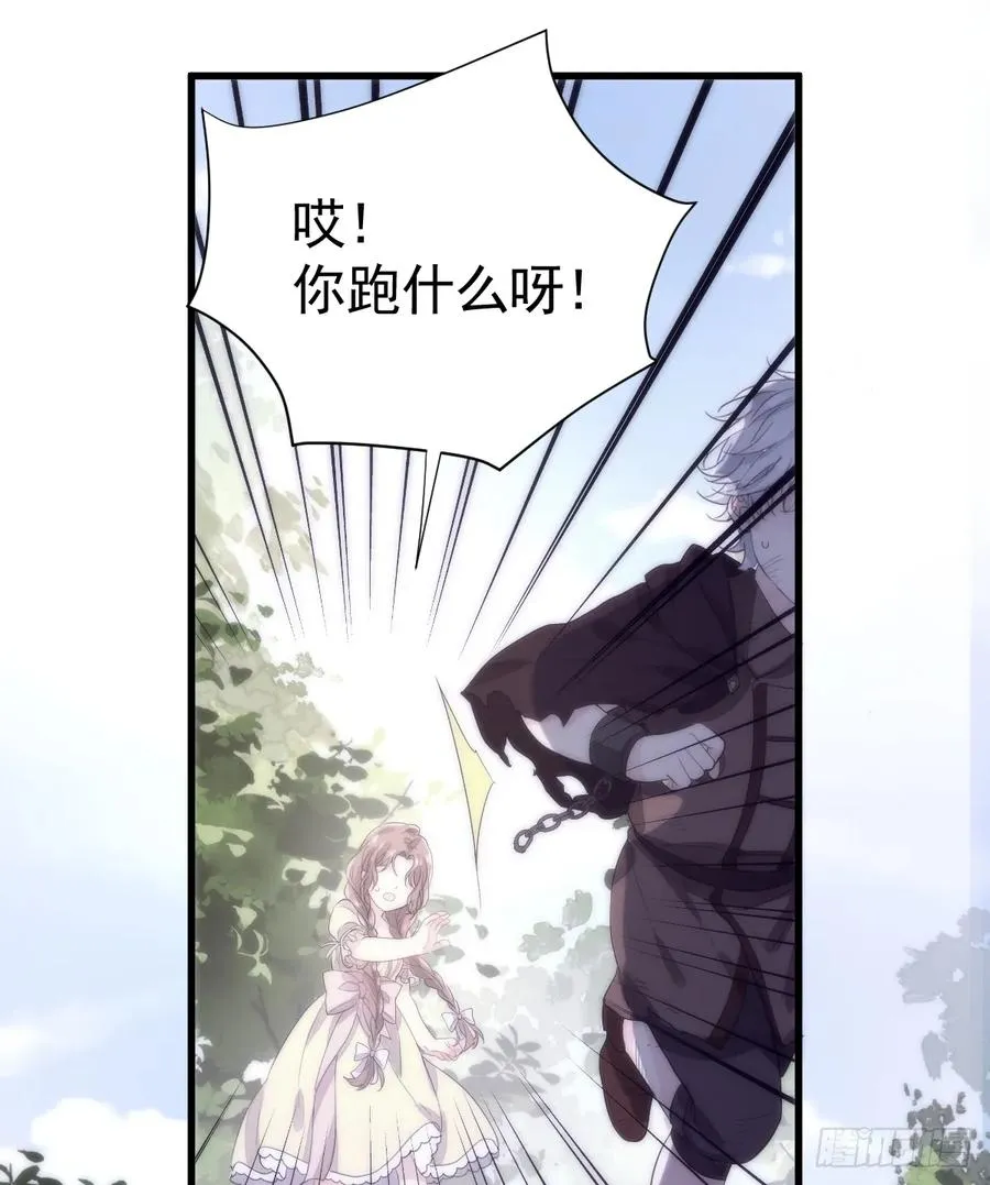 与狼共舞40