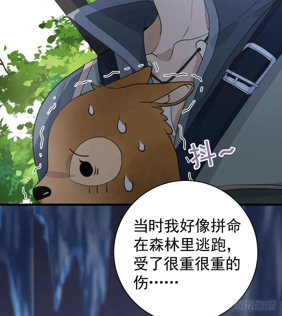 被狼养大的孩子31
