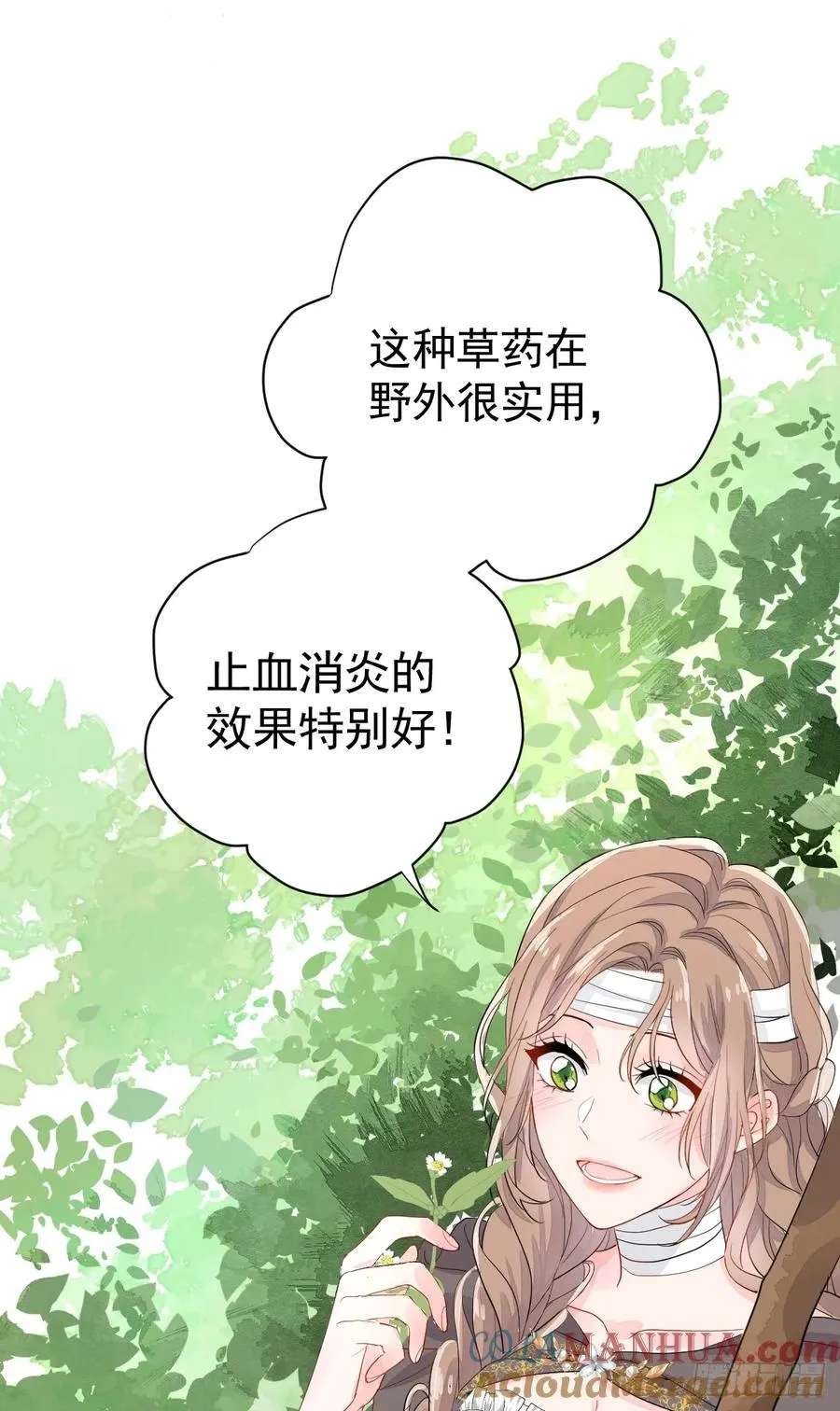 夜暮森林再重逢12