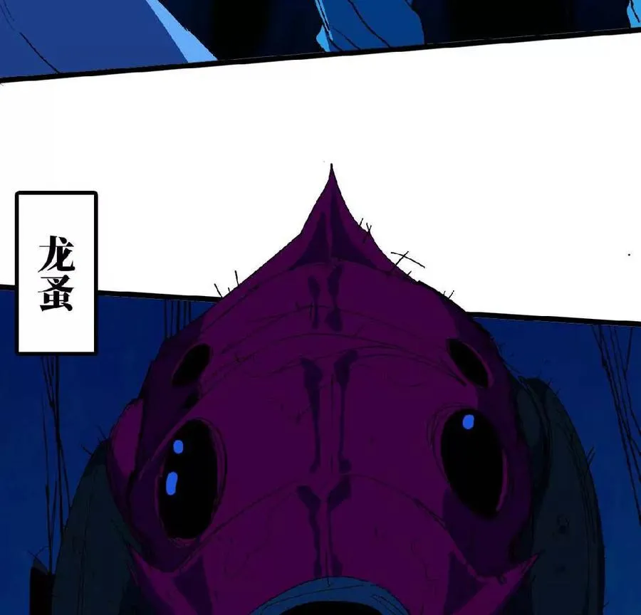 24 龙蚤47