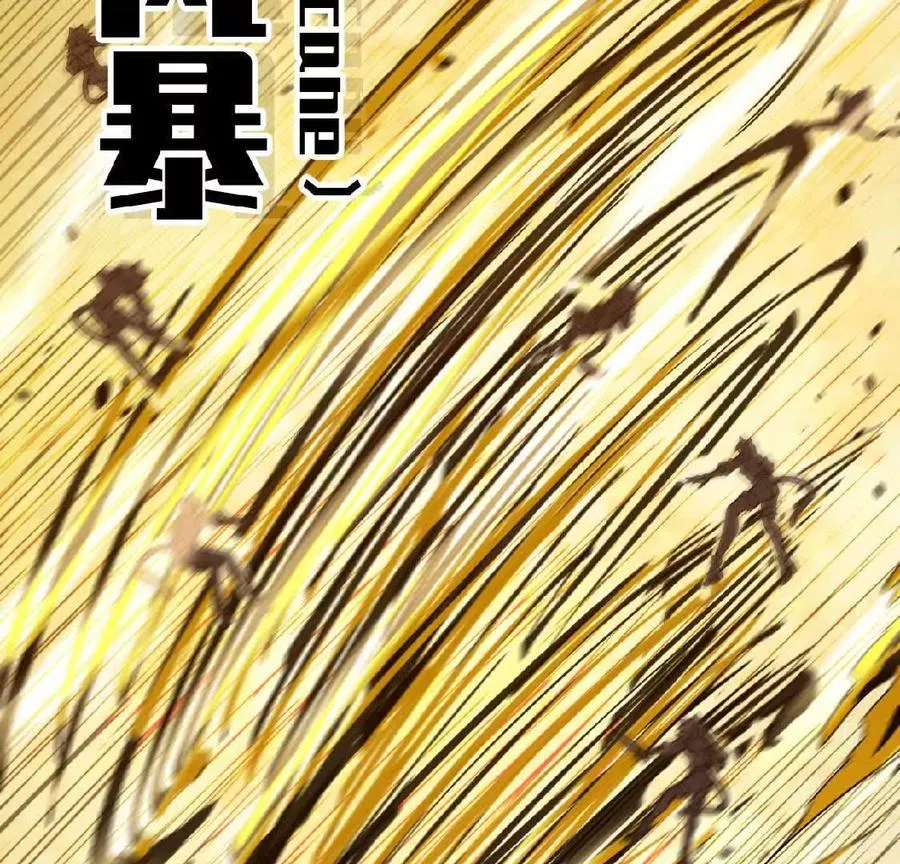27 黄金龙26