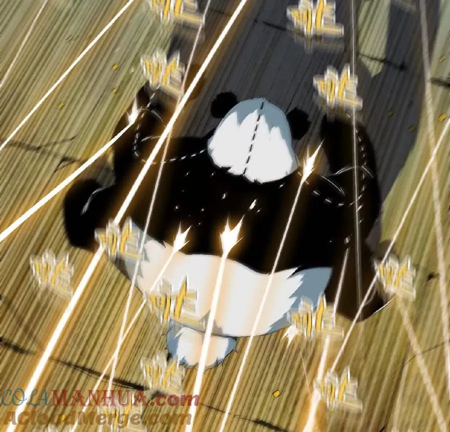 27 黄金龙45
