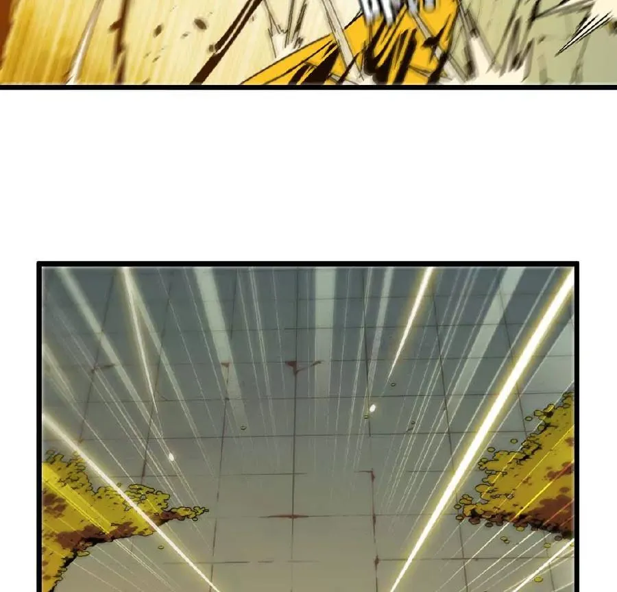 27 黄金龙34