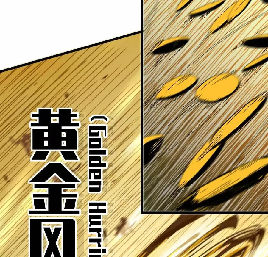 27 黄金龙25