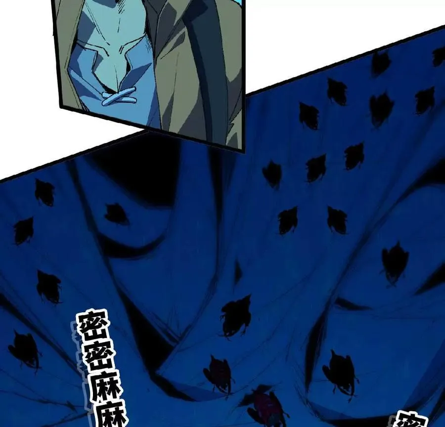 24 龙蚤43