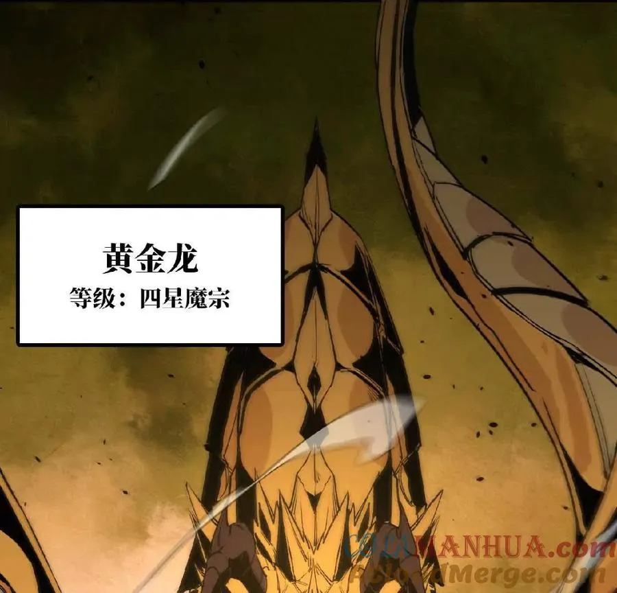 27 黄金龙75