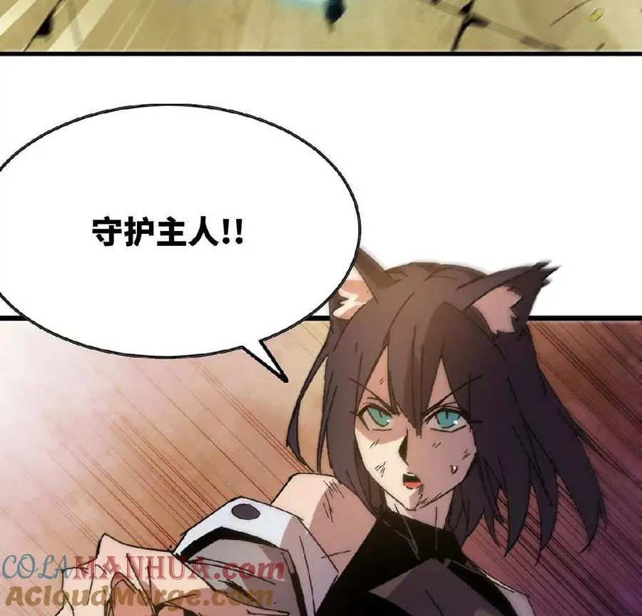 27 黄金龙48