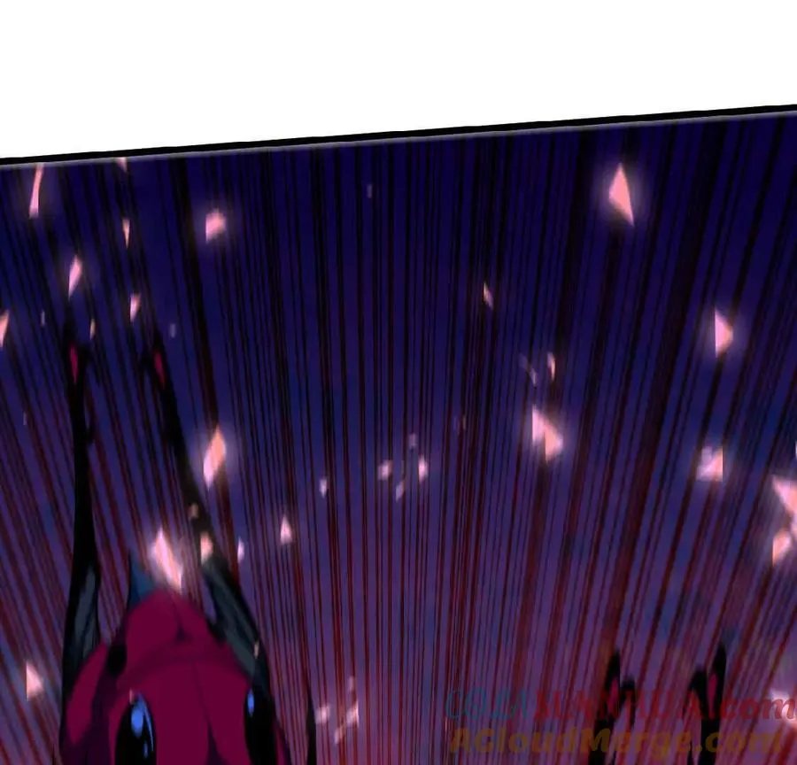 24 龙蚤78