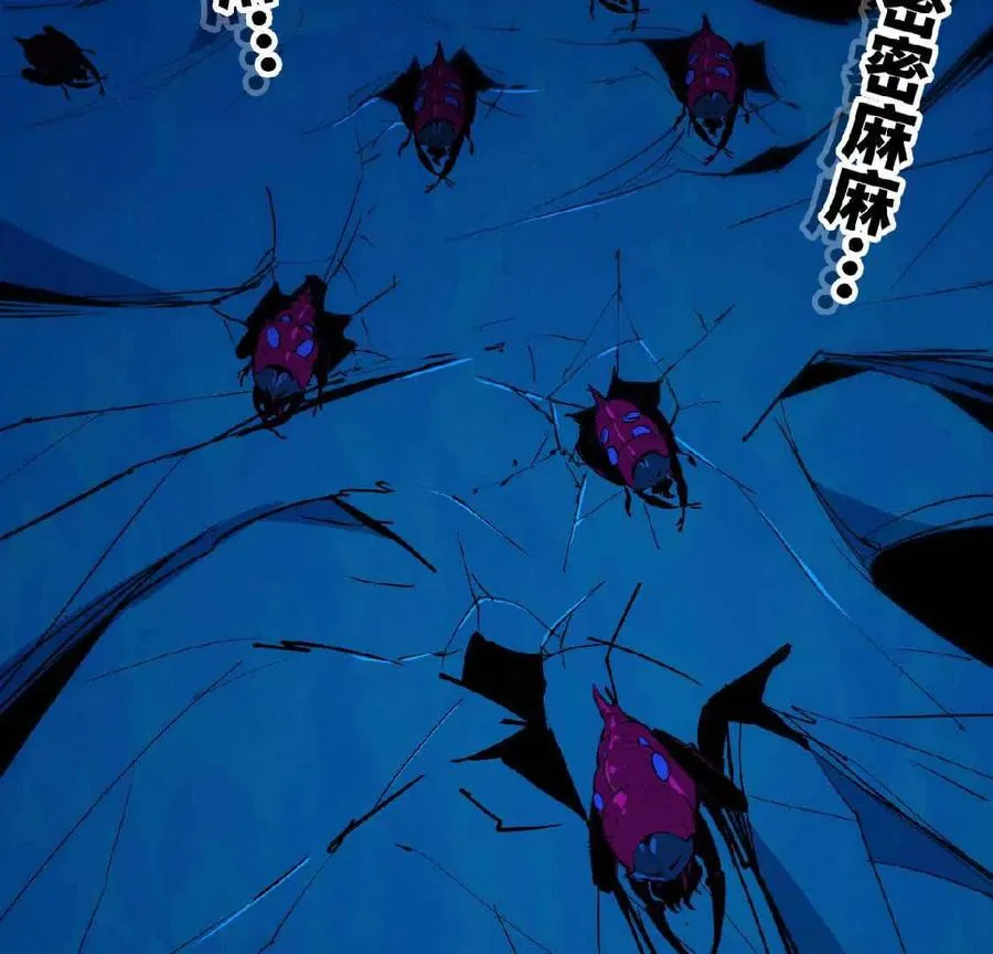 24 龙蚤44