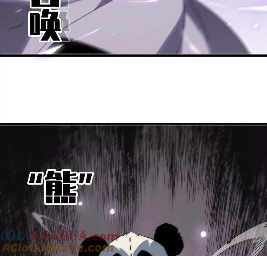 27 黄金龙42