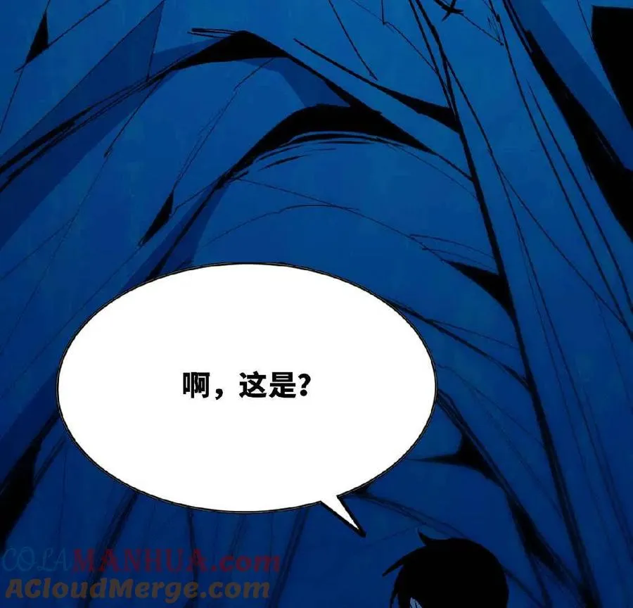 24 龙蚤45
