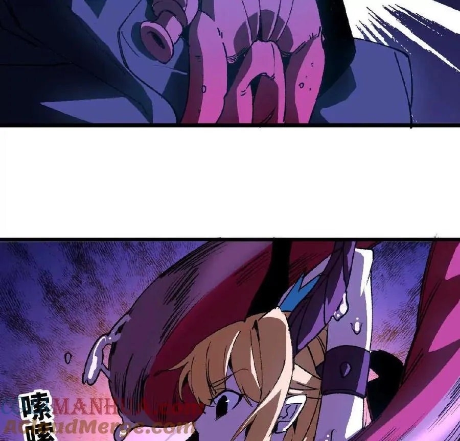 37 维斯的研究24