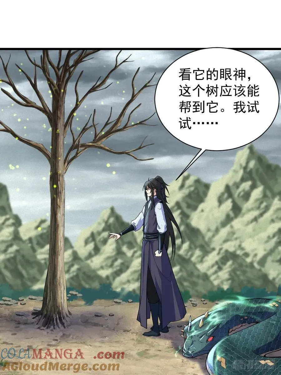 黑蛇是前世灵宠22
