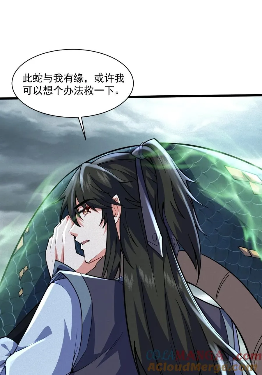 黑蛇是前世灵宠20