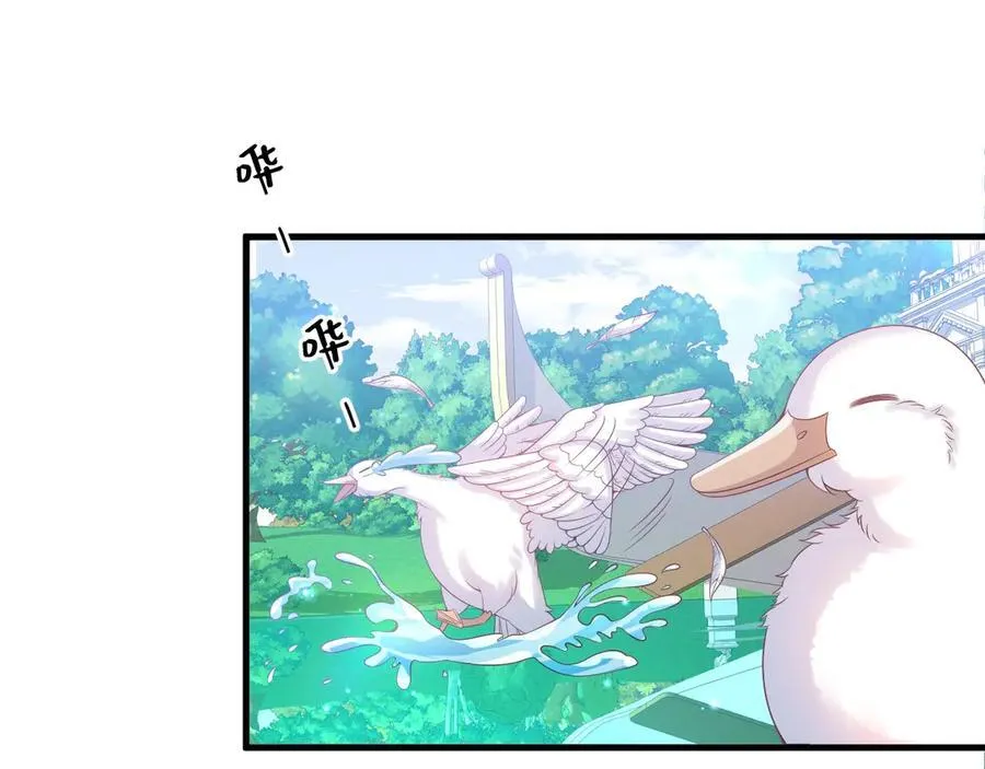 010 你耍我吗17