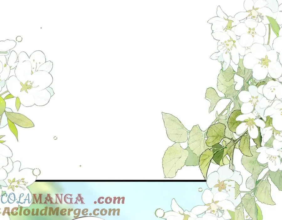 004 教皇效率12