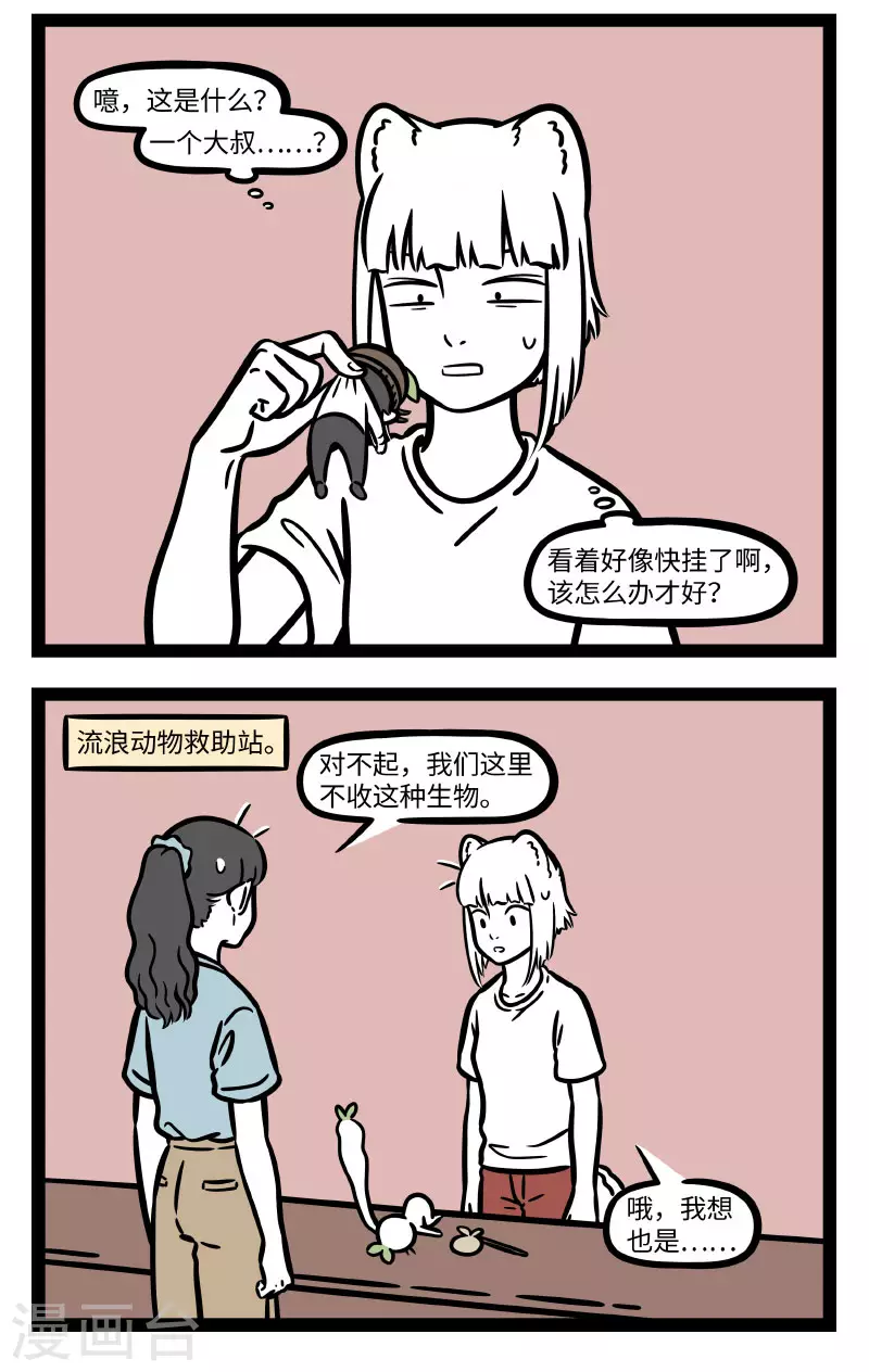 第723话 救助小动物，要爱心关怀也要科学合理1