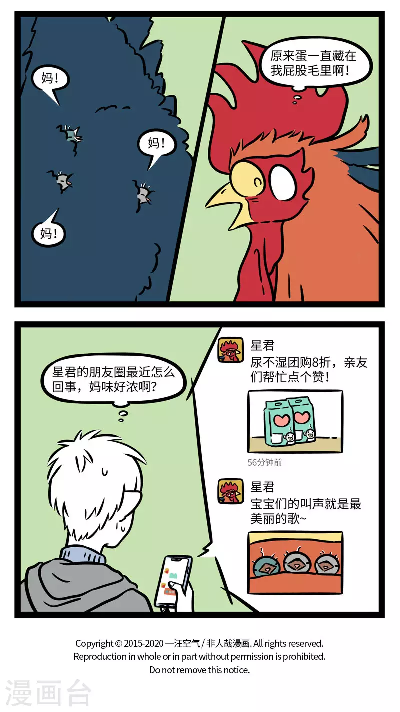 第643话 孵蛋公鸡，公鸡中的战斗鸡3