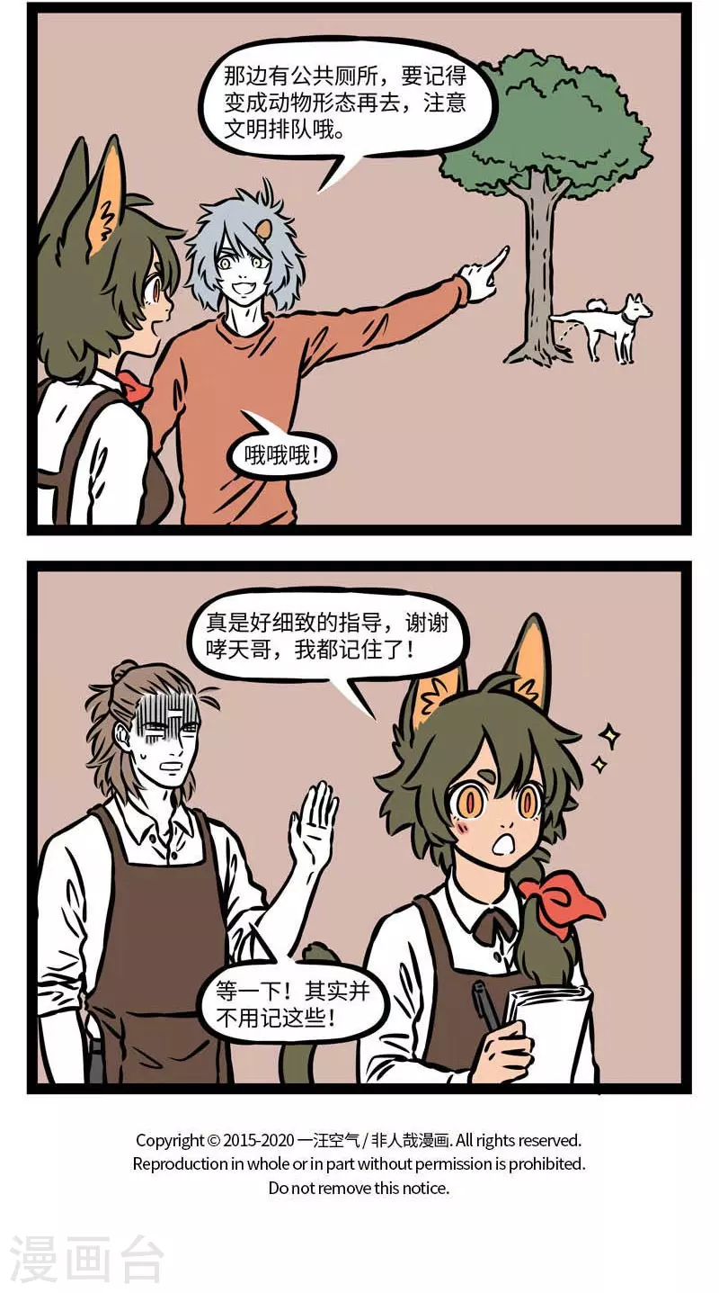 第543话 瓦猫是云南民间的一种镇宅瑞兽，传说有吸金3