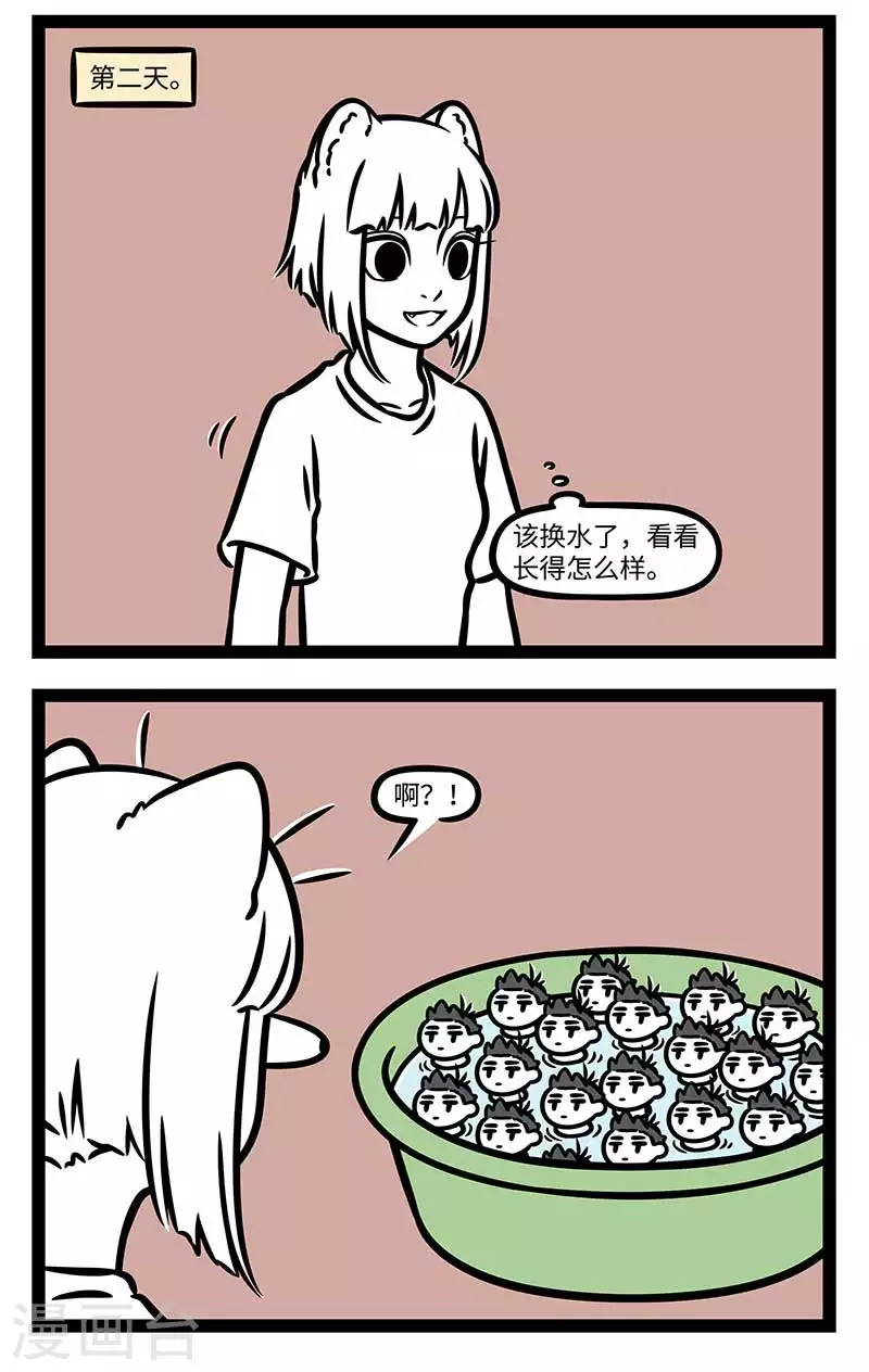 第813话 莲子还是新摘下来的好吃。1