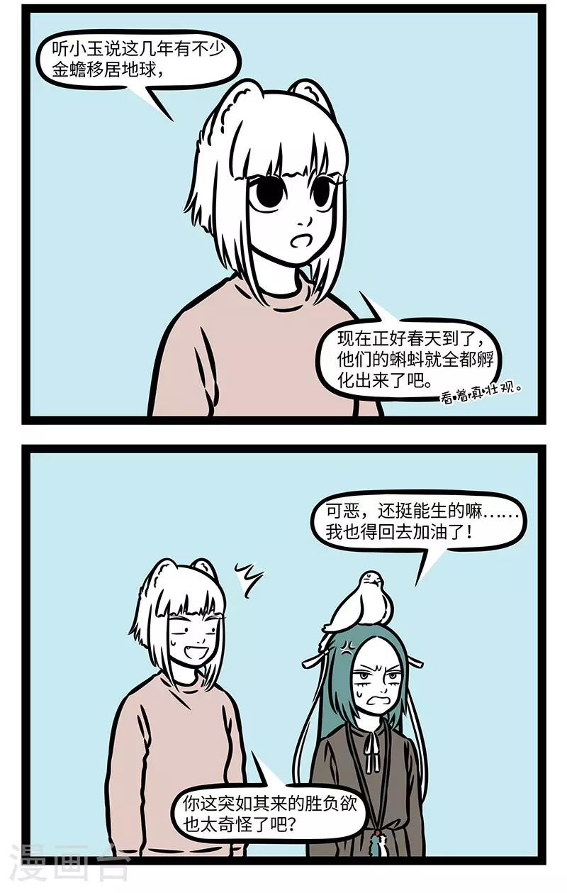 第893话 天上飞的不一定都是鸟。1