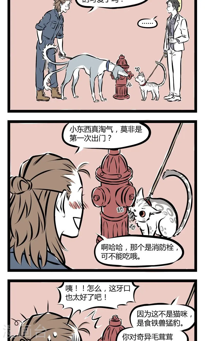 第148话 猛豹1