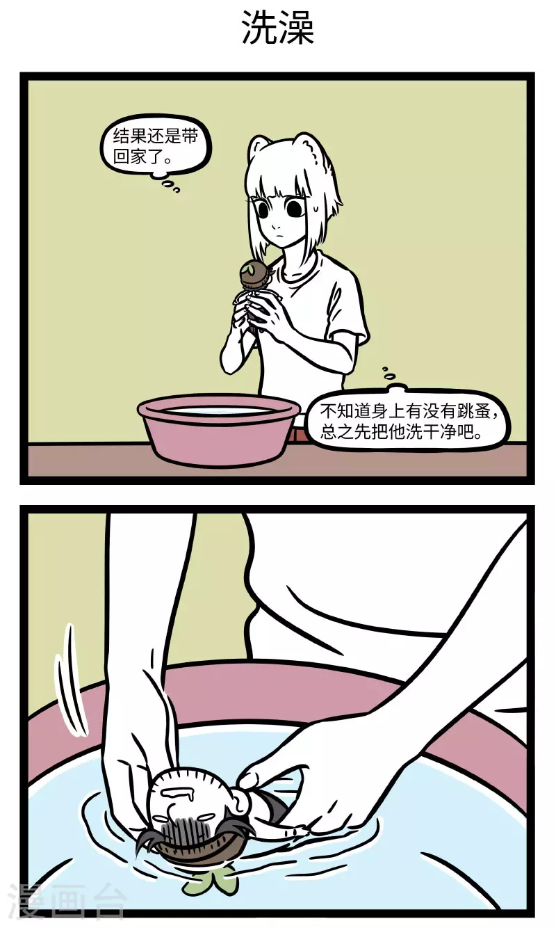 第723话 救助小动物，要爱心关怀也要科学合理2